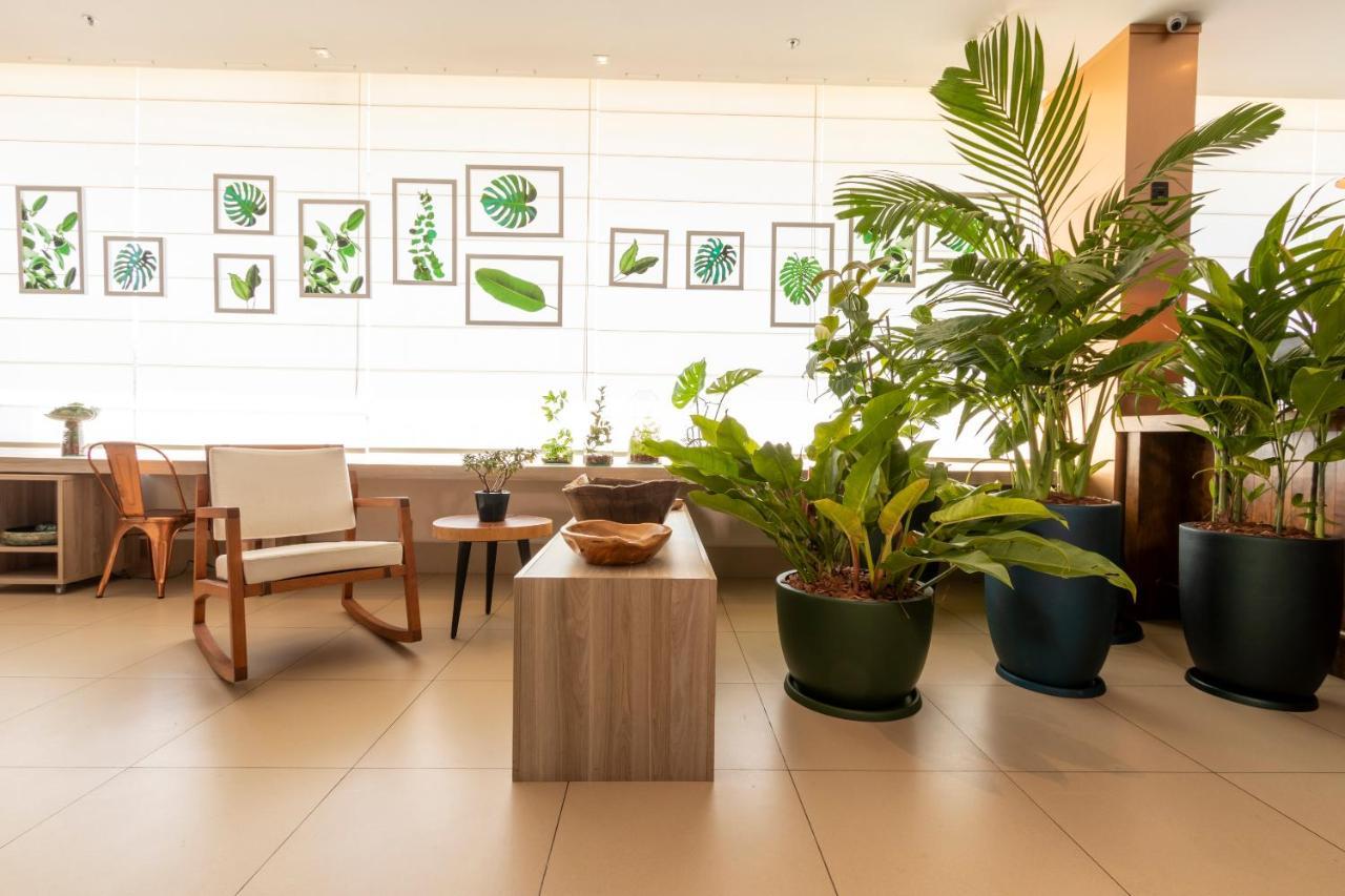 Ibis Styles Curitiba Aeroporto Hotel São José dos Pinhais Eksteriør billede