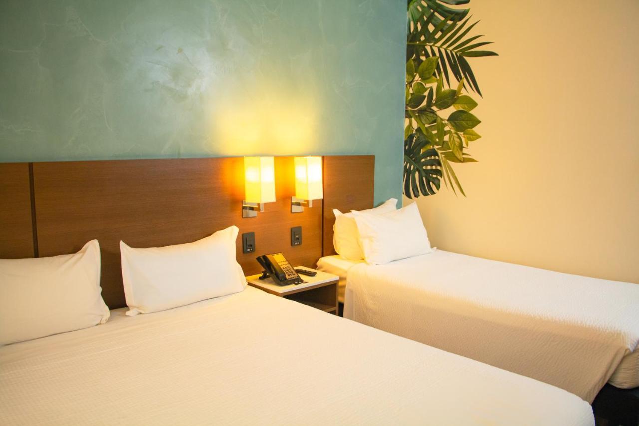 Ibis Styles Curitiba Aeroporto Hotel São José dos Pinhais Eksteriør billede