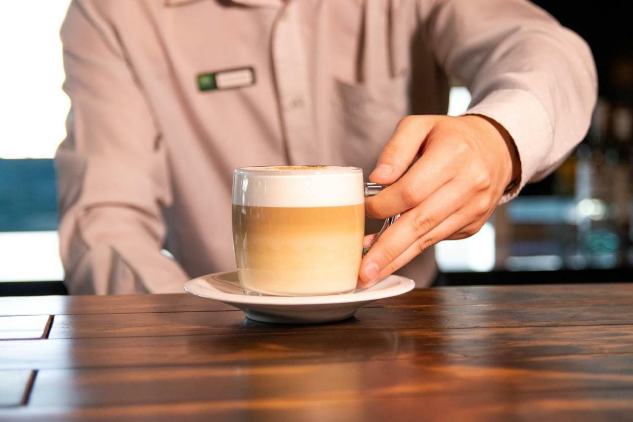 Ibis Styles Curitiba Aeroporto Hotel São José dos Pinhais Eksteriør billede